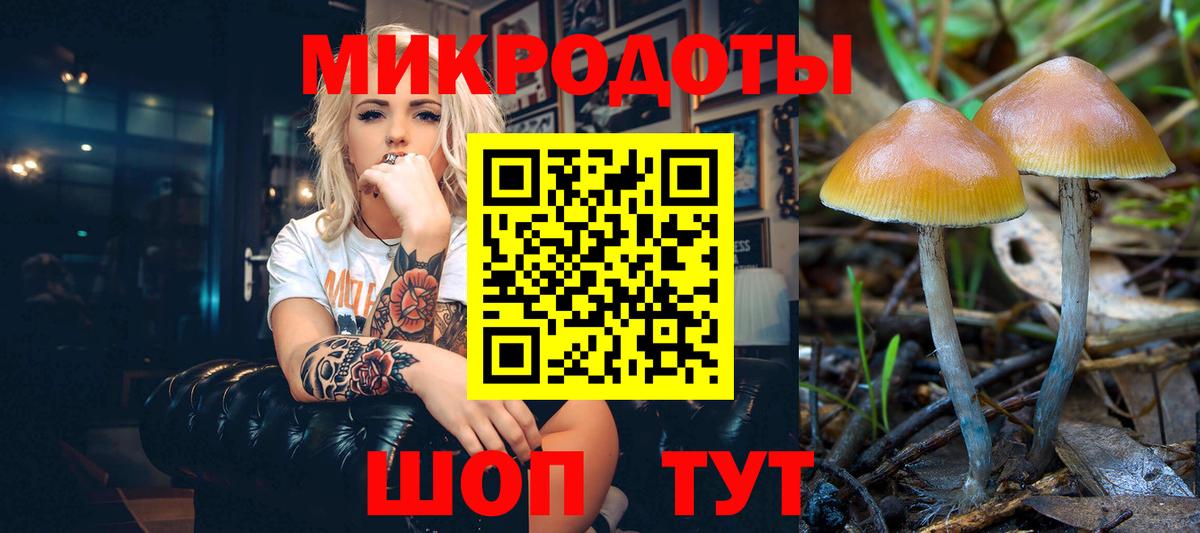 Псилоцибиновые грибы GOLDEN TEACHER Прохладный