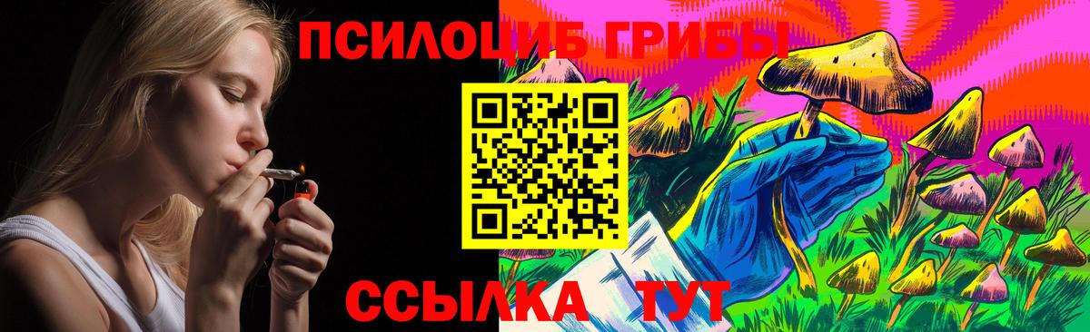 Псилоцибиновые грибы Psilocybine cubensis  наркота  Прохладный  Вход с VPN 