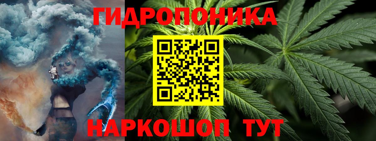 Марихуана Amnesia Прохладный
